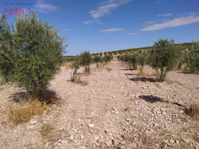 Terreno en venta en Ciudad Real, Castilla-La Mancha
