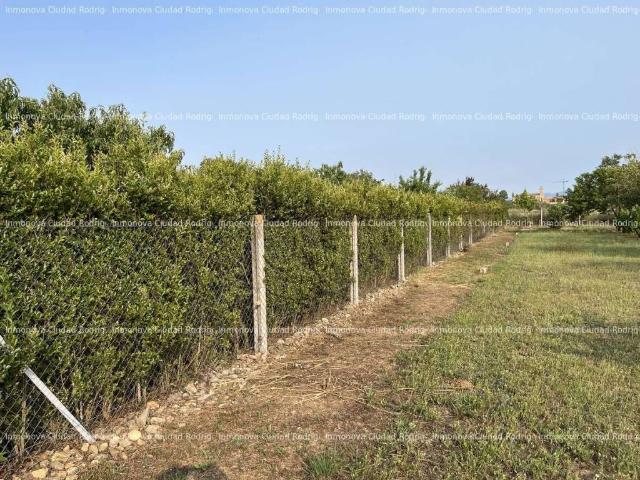 Terreno en venta en Ciudad Rodrigo