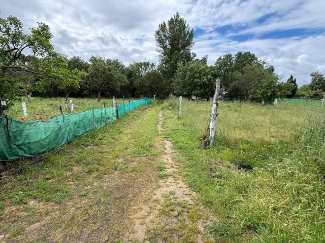 Terreno en venta en Ciudad Rodrigo, Castilla y León