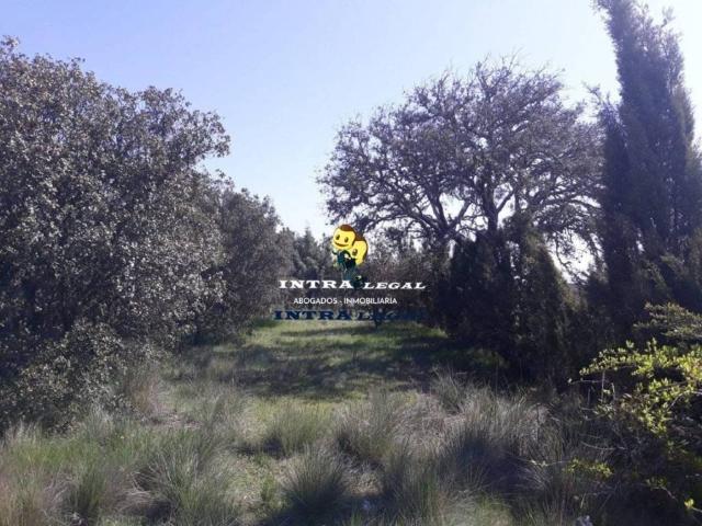 Terreno en venta en Ciudad Rodrigo, Castilla y León