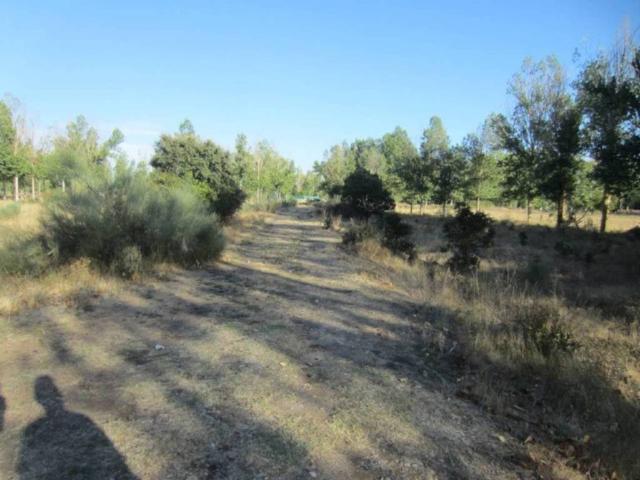 Terreno en venta en Ciudad Rodrigo, Castilla y León