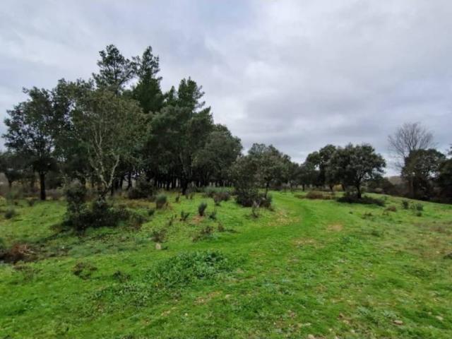 Terreno en venta en Ciudad Rodrigo, Salamanca