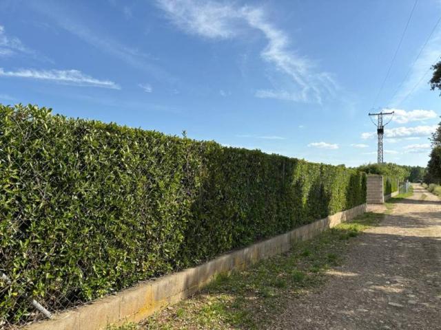 Terreno en venta en Ciudad Rodrigo, Castilla y León