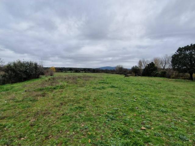 Terreno en venta en Ciudad Rodrigo, Castilla y León