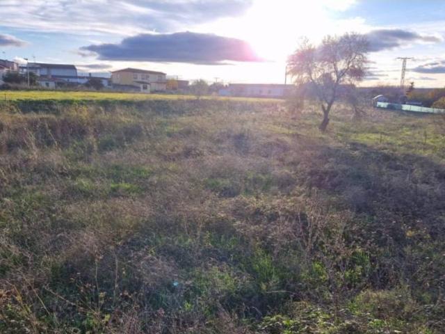 Terreno en venta en Ciudad Rodrigo, Salamanca