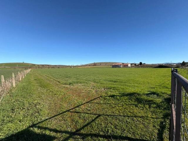 Terreno en venta en Ciudad Rodrigo, Castilla y León