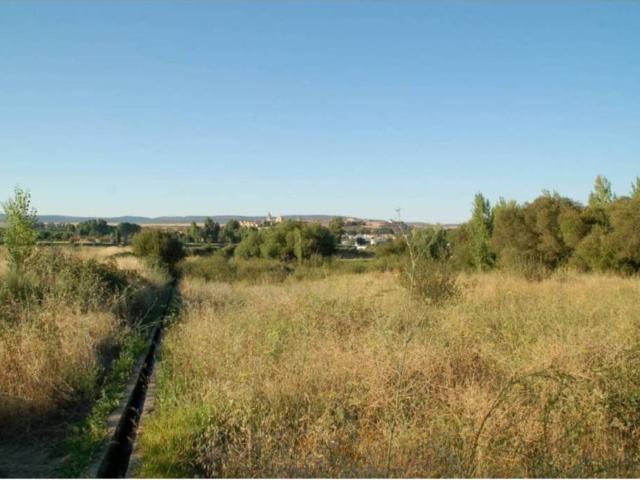 Terreno en venta en Ciudad Rodrigo, Castilla y León