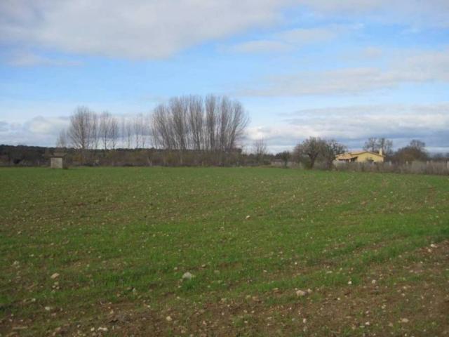 Terreno en venta en Ciudad Rodrigo, Castilla y León