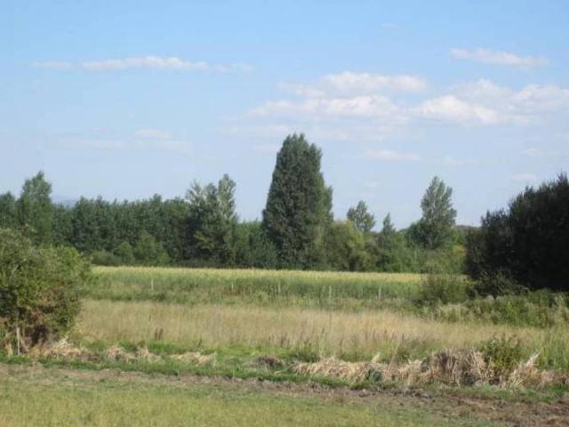 Terreno en venta en Ciudad Rodrigo, Castilla y León