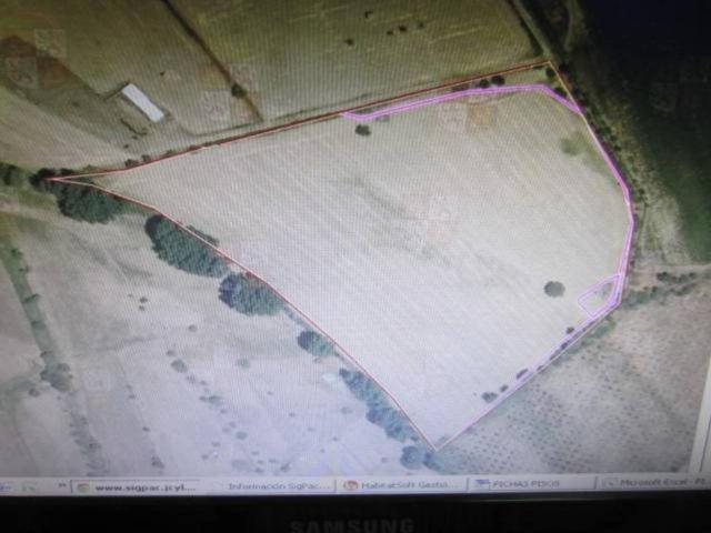 Terreno en venta en Ciudad Rodrigo, Castilla y León