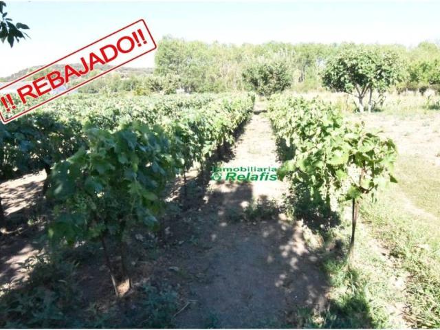 Terreno en venta en Ciudad Rodrigo, Castilla y León