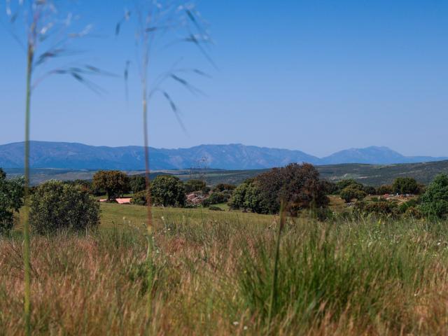 Terreno en venta en Navalperal De Pinares, Castilla y León
