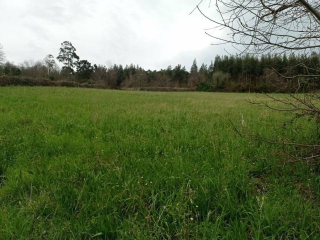 Terreno en venta en Coaña, Asturias