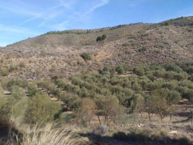 Terreno en venta en Valle del Almanzora, Andalucía