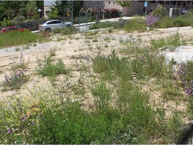 Terreno en venta en Cobeña, Madrid