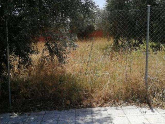 Terreno en venta en Cobisa