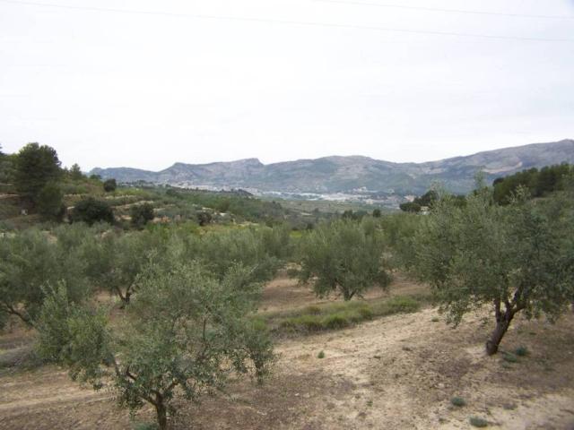 Terreno en venta en el Comtat, Valencia