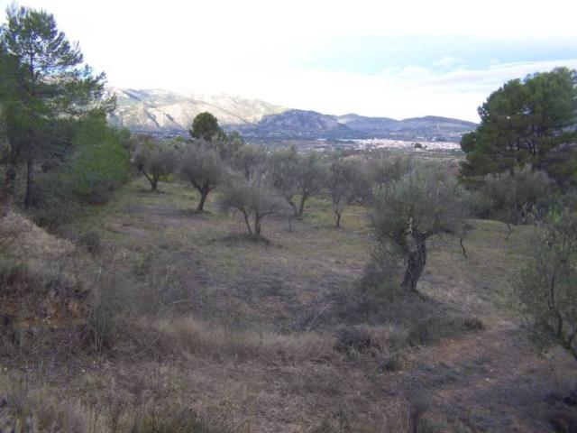 Terreno en venta en el Comtat, Valencia
