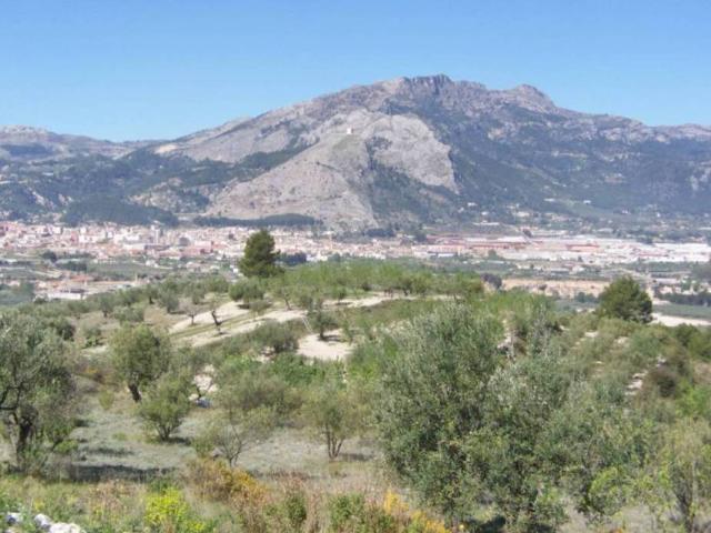 Terreno en venta en el Comtat, Valencia