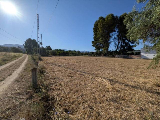 Terreno en venta en el Comtat, Valencia