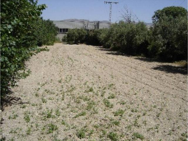 Terreno en venta en el Comtat, Valencia
