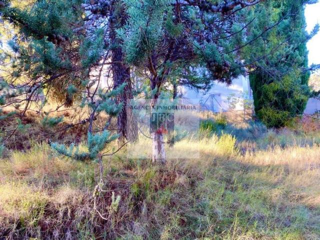 Terreno en venta en Cocentaina, Alicante