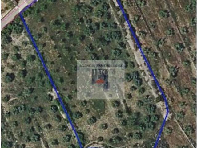 Terreno en venta en Cocentaina, Alicante