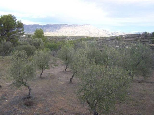 Terreno en venta en el Comtat, Valencia