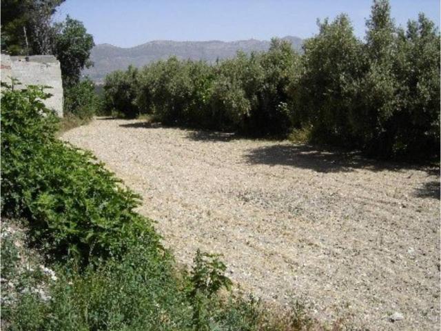 Terreno en venta en el Comtat, Valencia