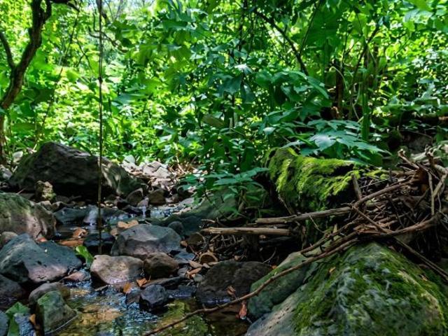 Terreno en venta en Cofradía de Suchitlán, Comala