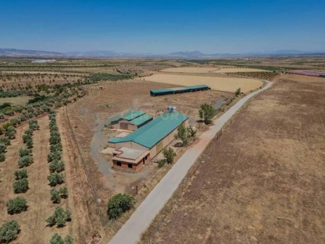 Terreno en venta en Comarca de Guadix, Andalucía