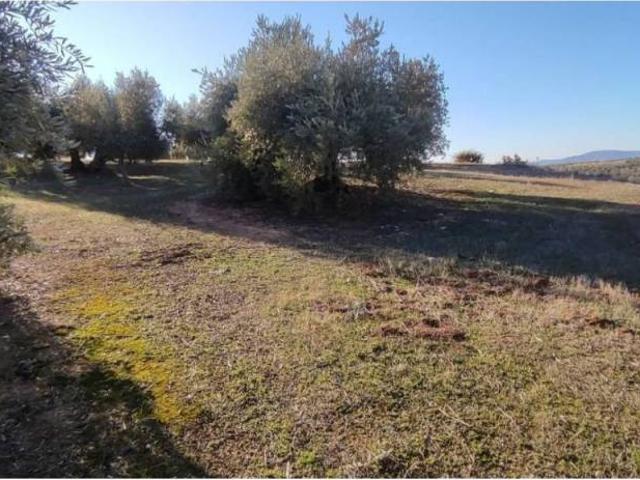 Terreno en venta en Comarca de la Vega de Granada, Andalucía