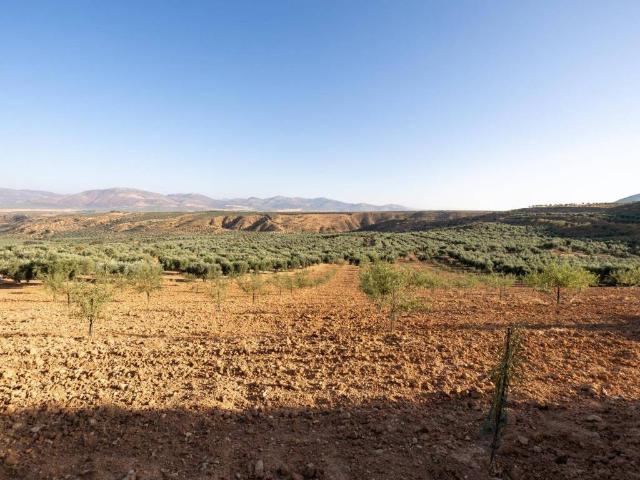 Terreno en venta en Comarca de la Vega de Granada, Andalucía