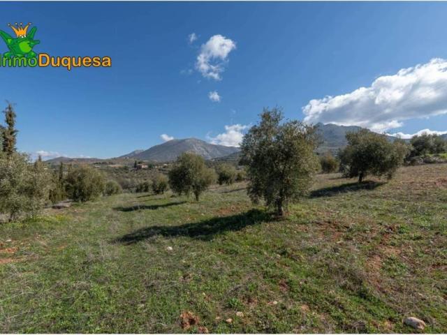 Terreno en venta en Comarca de la Vega de Granada, Andalucía