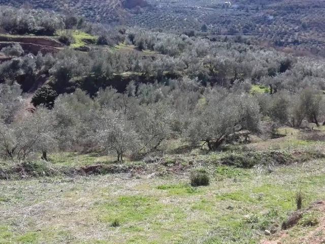 Terreno en venta en Comarca de la Vega de Granada, Andalucía