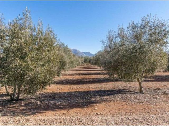 Terreno en venta en Comarca de la Vega de Granada, Andalucía