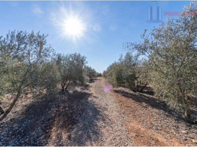 Terreno en venta en Comarca de la Vega de Granada, Andalucía