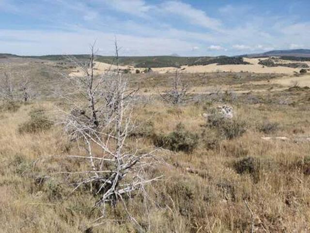 Terreno en venta en Cogolludo, Castilla-La Mancha