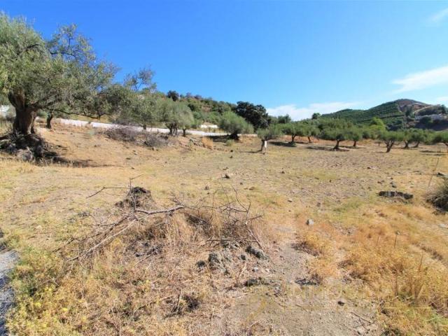 Local Comercial en venta en Valle del Guadalhorce, Andalucía