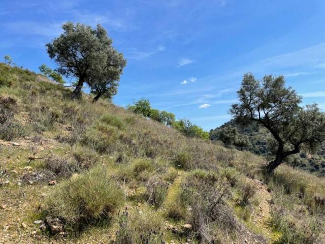 Terreno en venta en Valle del Guadalhorce, Andalucía