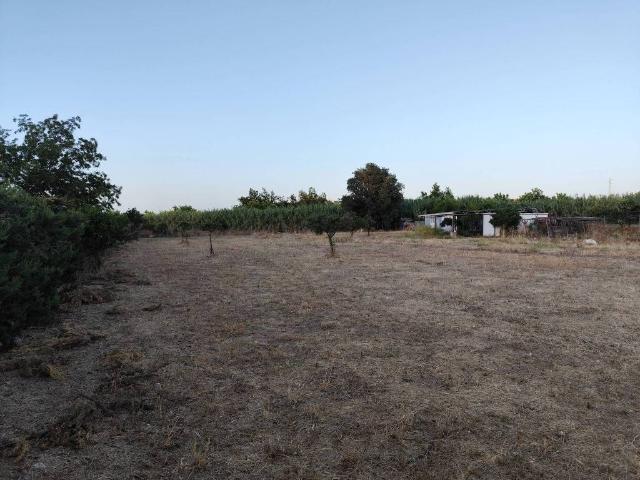 Terreno en venta en El Rodeo, Valle del Guadalhorce