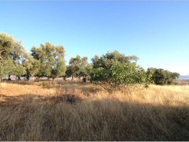 Terreno en venta en Valle del Guadalhorce, Andalucía