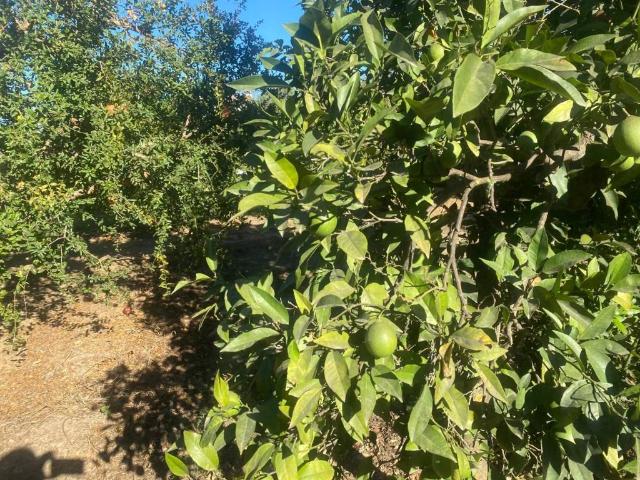 Terreno en venta en Valle del Guadalhorce, Andalucía