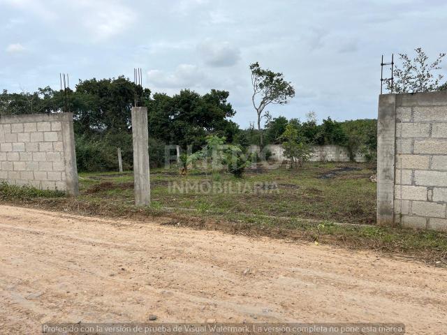 Terreno en renta en Tuxpan, Veracruz