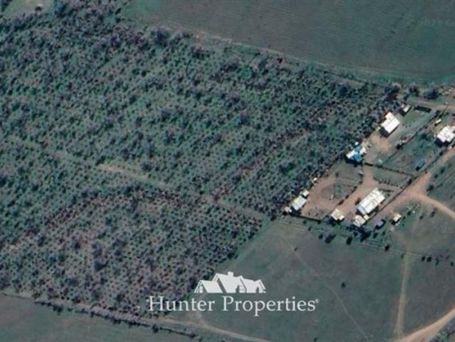 Terreno en Venta en Colina