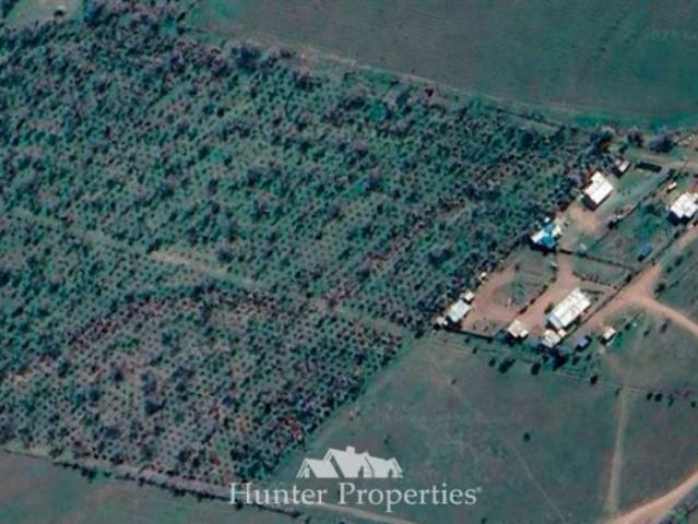Terreno en Venta en Colina