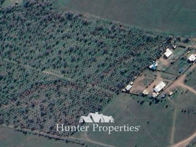 Terreno en Venta en Colina