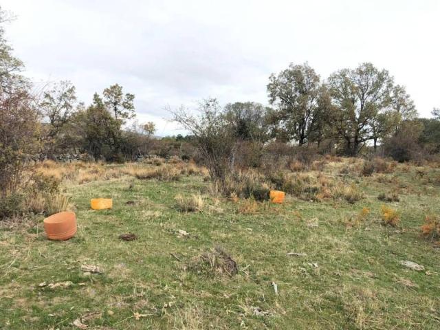 Terreno en venta en Comunidad de Villa y Tierra de Pedraza, Collado Hermoso