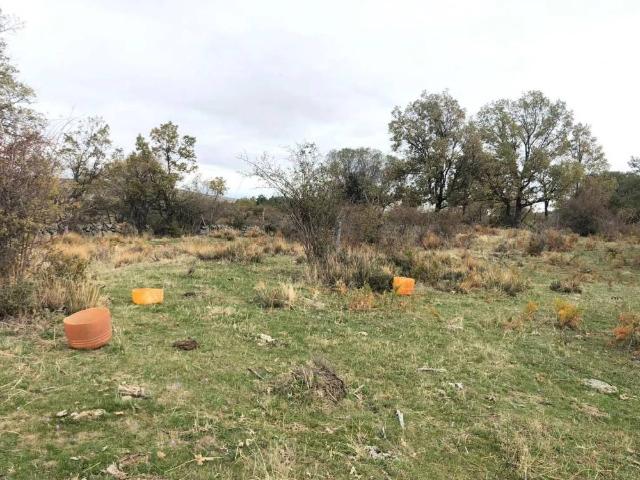 Terreno en venta en Collado Hermoso Terreno en venta en Collado Hermoso