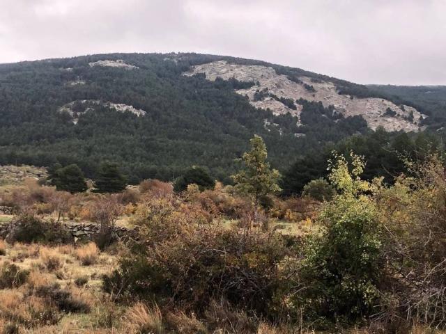 Terreno en venta en Comunidad de Villa y Tierra de Pedraza, Collado Hermoso